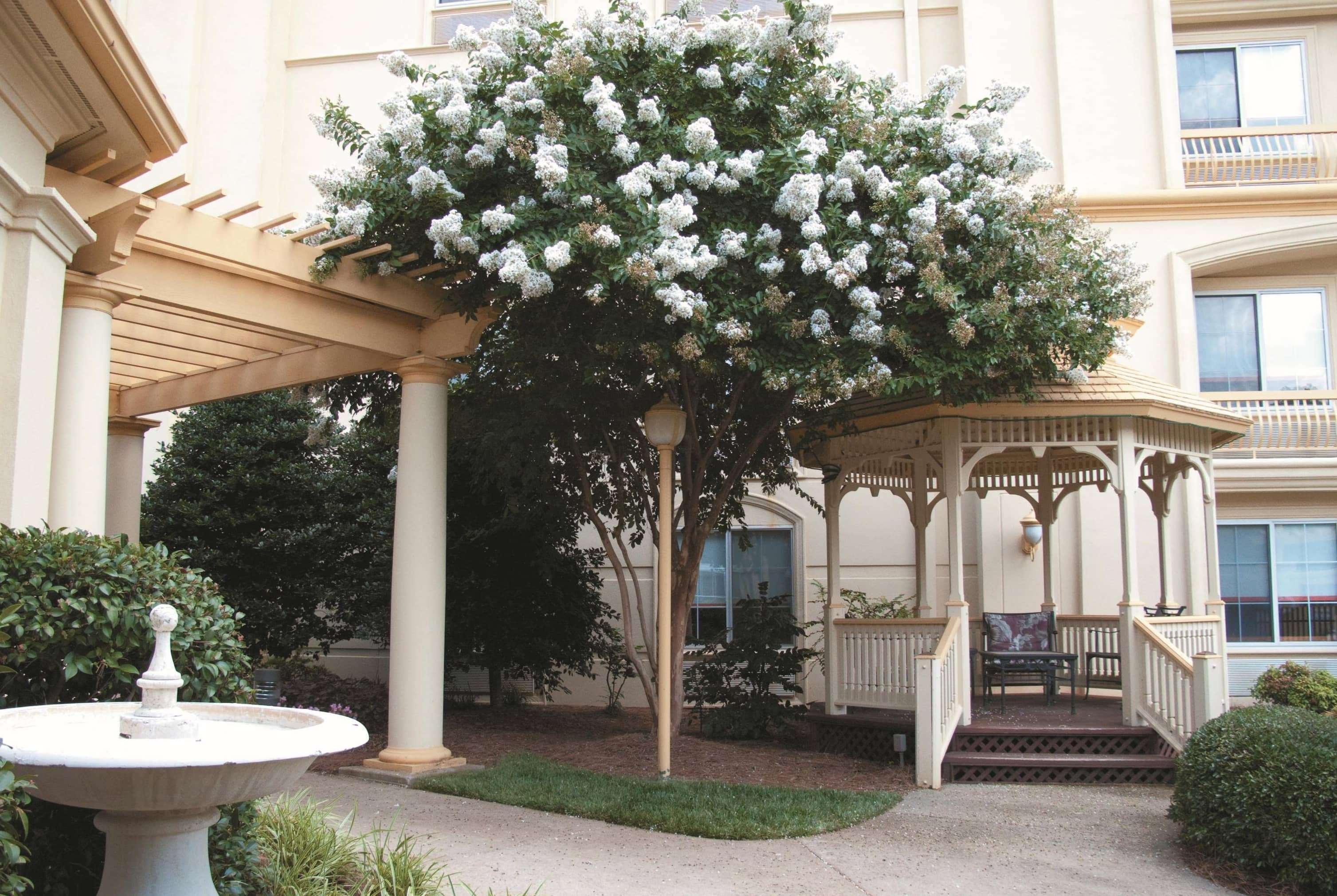 Hotel La Quinta By Wyndham Raleigh Crabtree Exterior foto